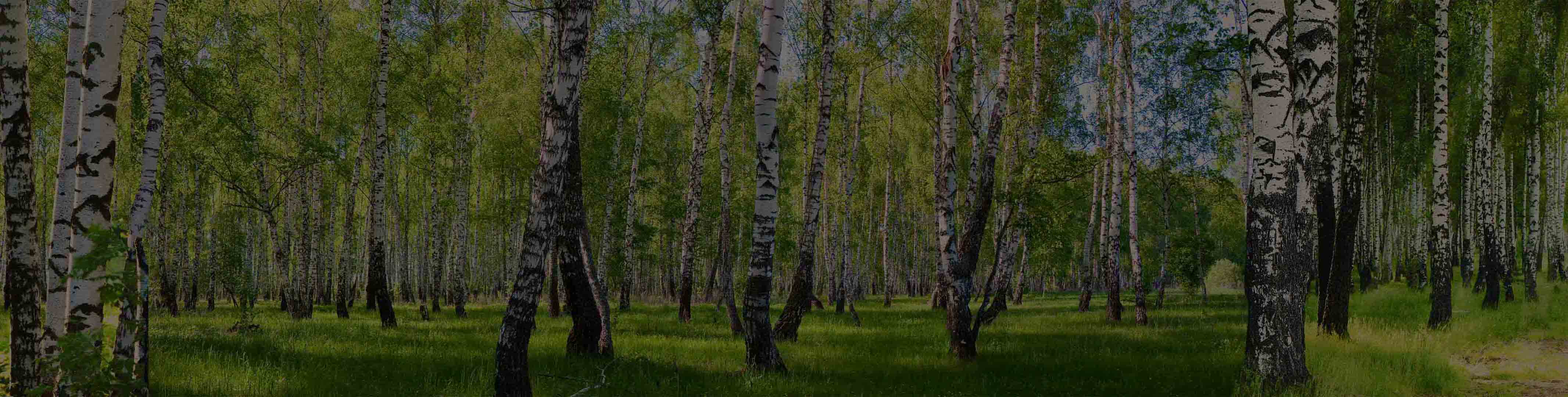 wellness zoborska